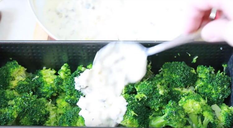 Brokkoli in einer Auflaufform verteilen und mit cremiger Soße bedecken.