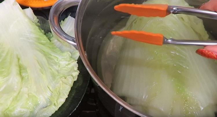 Wir legen den Kohl in einen Topf mit kochendem Wasser, beim Kochen trennen sich die Blätter.