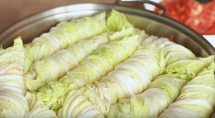 Distribuire i rotoli di cavolo in una padella per salsa di verdure.