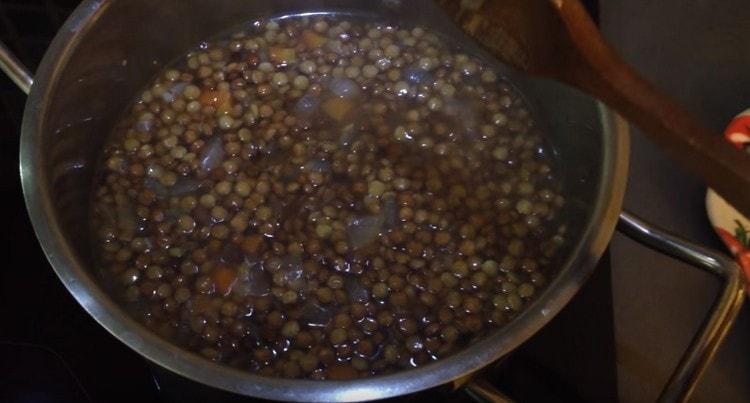 nel mezzo del processo di cottura, devi anche salare le lenticchie a piacere.