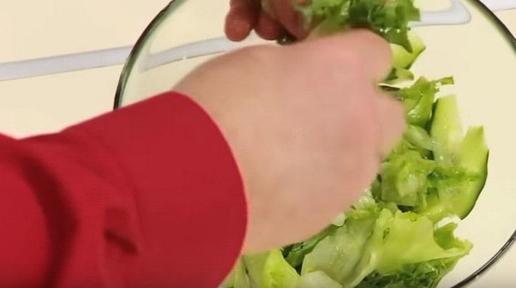 Salat einfach mit den Händen zerreißen und in einer Schüssel in einer Gurke verteilen.