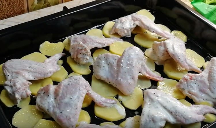 mettere i cerchi di patate su una teglia unta con olio vegetale e adagiarvi sopra delle ali di pollo.