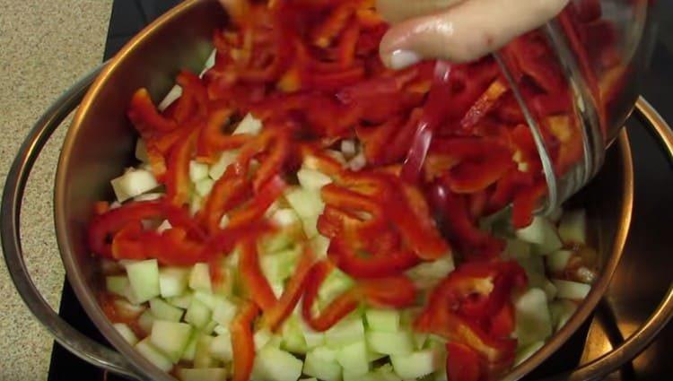 mettere una massa di pomodoro zucchine e pepe.