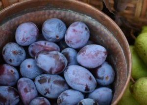 Ano ang lutuin mula sa mga plum: dalawang simpleng mga recipe na may mga larawan.