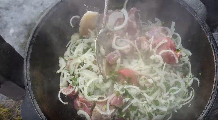 Mescolare la carne con cipolle ed erbe.