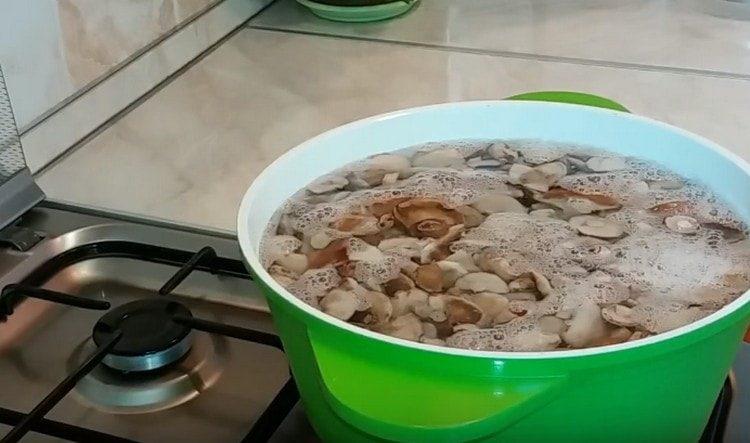Opět naplňte houby vodou a nechte je vařit.