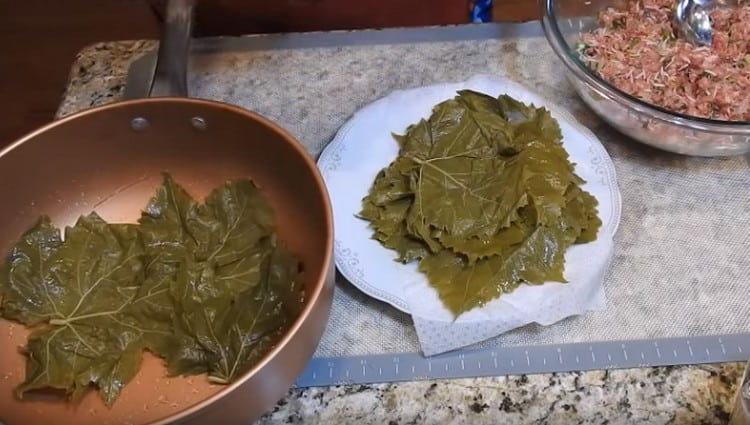 Καλύψτε το κάτω μέρος του τηγανιού για το μαγείρεμα του dolma με φύλλα σταφυλιών.