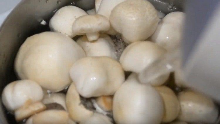 Naplňte houby ódou a vařte.