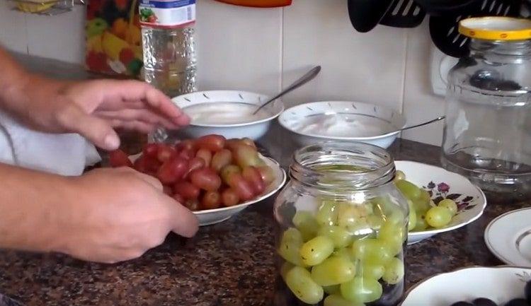Spargiamo l'uva in barattoli.
