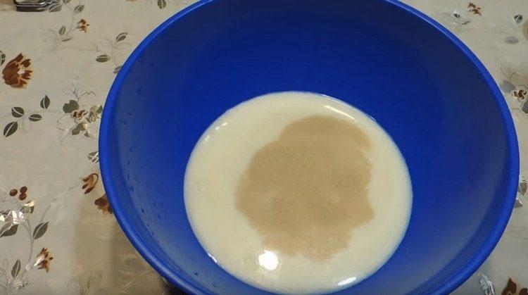 Gießen Sie warme Milch oder eine Kartoffelsuppe in eine Schüssel.