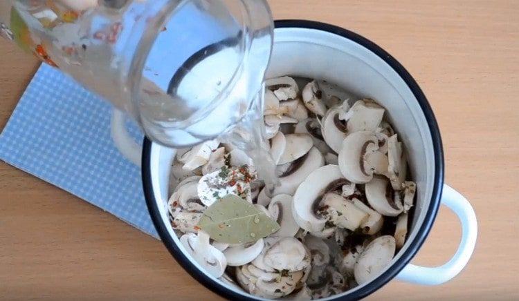 Chop gombát. öntsön ki vizet egy serpenyőben.