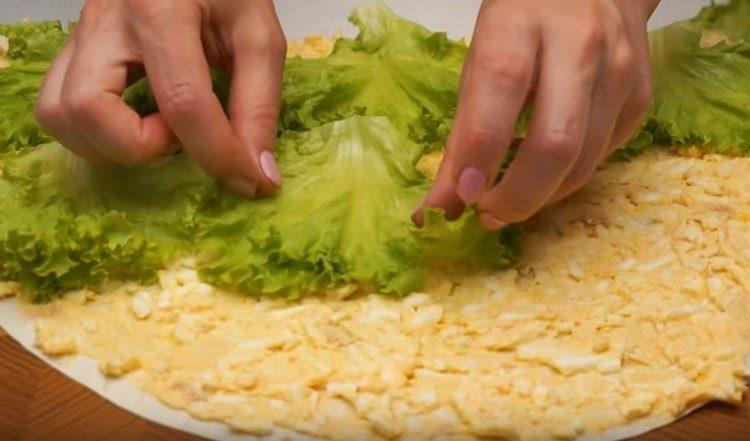 Rozložte vaječnou náplň na list chleba pita, natřete salát nahoře.