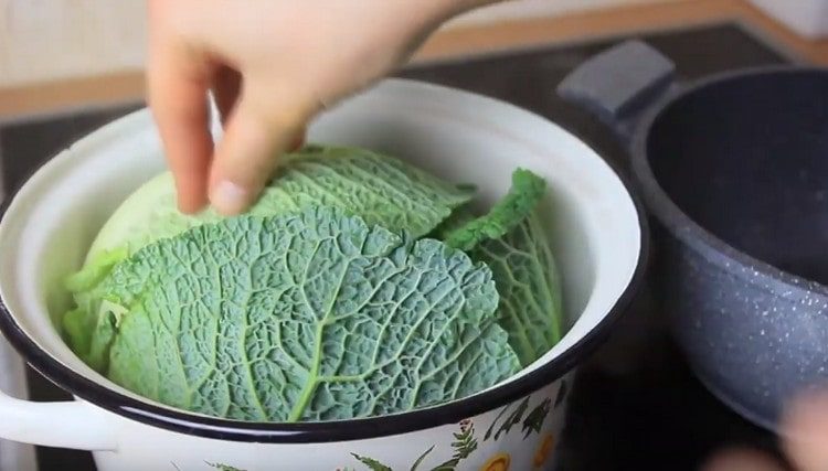 βάλτε το λάχανο σε μια κατσαρόλα βραστό νερό.