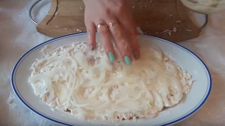 Na majonézu rozložte nakládanou cibuli.