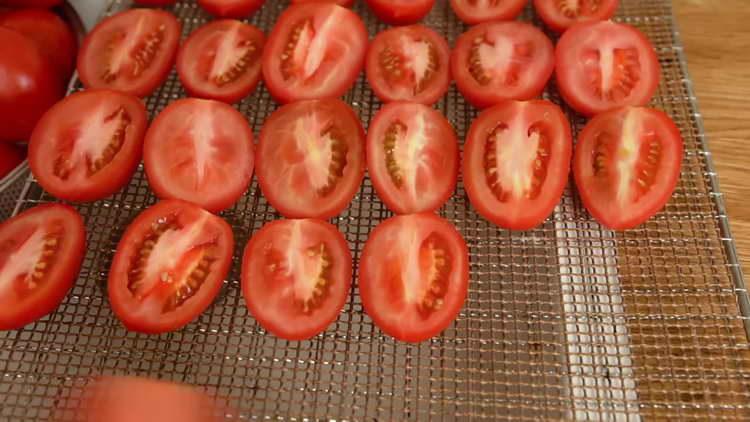sudėti pomidorus ant tinklelio