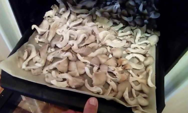 Schicke Pilze in den Ofen