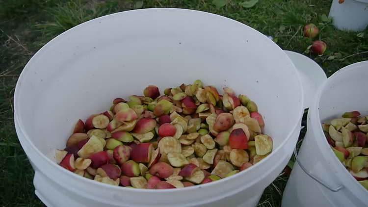 κόψτε μήλα σε φέτες