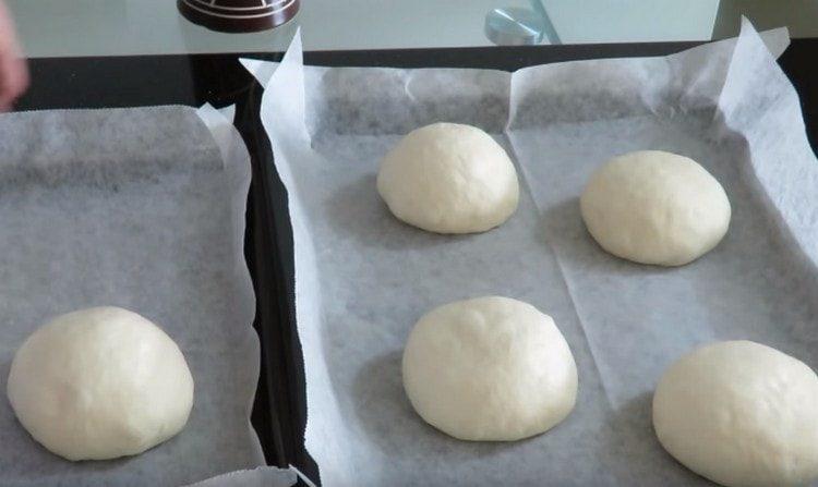 Ipinakalat namin ang mga buns sa baking sheet na natatakpan ng pergamino.