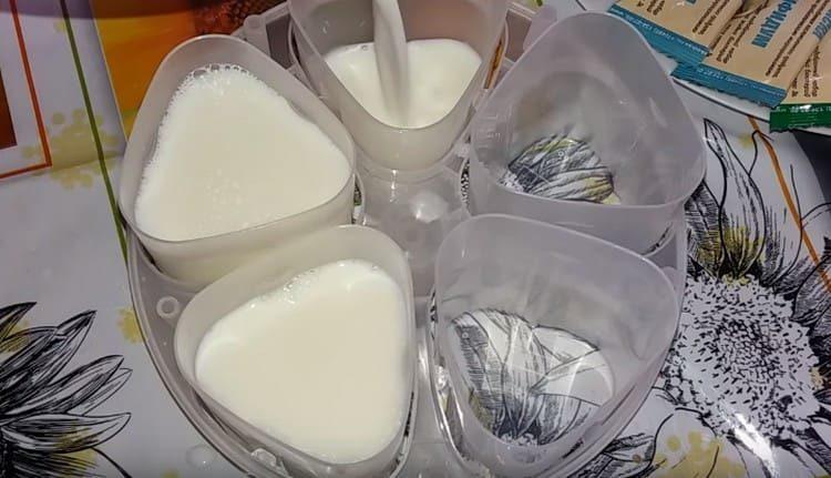 Gießen Sie die Milch nach dem Mischen in den Behälter für die Herstellung von Joghurt.