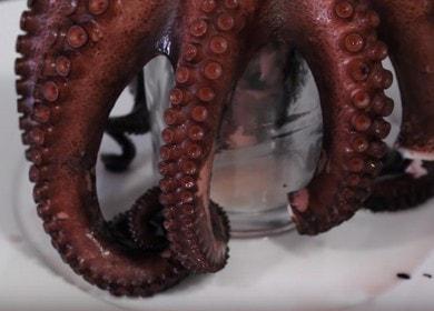 Wie man lecker isst  Oktopus kochen