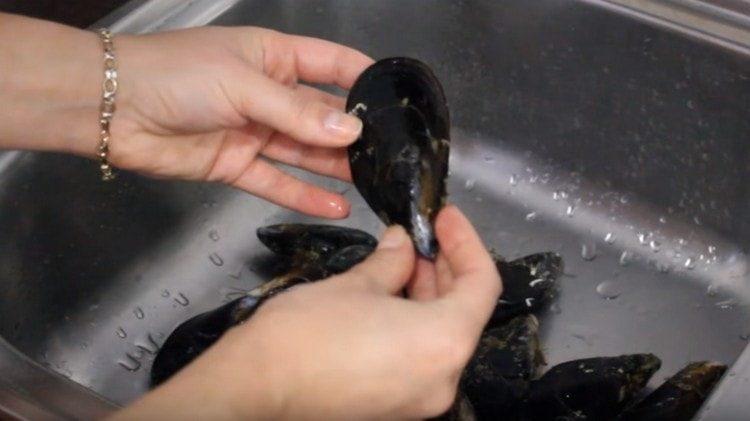 Una, ang mga mussel ay dapat na hugasan nang lubusan ng algae.